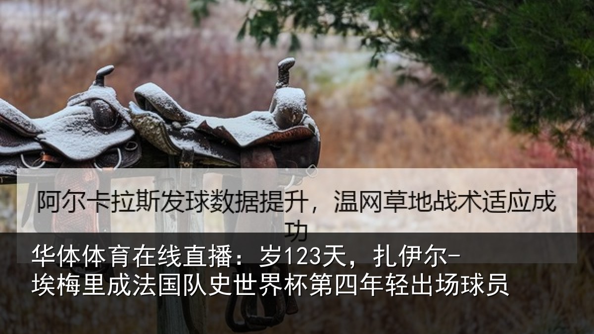 华体体育在线直播:岁天相关情况国队相关情况出场球员